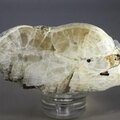 Witherite Mineral Specimen (part-polished) ~70mm