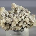 Woodhouseite Mineral Specimen ~31mm