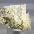 Woodhouseite Mineral Specimen ~35mm