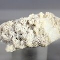 Woodhouseite Mineral Specimen ~37mm
