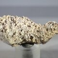 Woodhouseite Mineral Specimen ~48mm