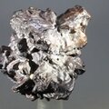 Prophecy Stone (Limonite after Marcasite) ~35mm