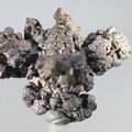Prophecy Stone (Limonite after Marcasite) ~44mm