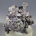 RARE Z stone (Limonite after Marcasite) | Prophecy Stone ~25mm
