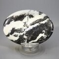 Zebra Jasper Palmstone