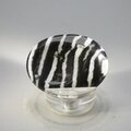 Zebra Jasper Thumbstone (Extra Grade) ~40x30mm