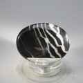 Zebra Jasper Thumbstone (Extra Grade) ~40x30mm