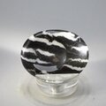 Zebra Jasper Thumbstone (Extra Grade) ~40x30mm
