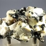 Aegirine & Orthoclase Mineral Specimen ~70mm