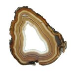 Agate Slice - Brown and honey coloured banded with crystal edged open centre ~ 200mm