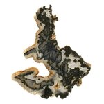 Agate Slice - Blue/Grey ~210mm