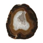Agate Slice - Banded brown with crystal centre ~200mm