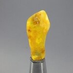 Amber Tumblestone ~27mm
