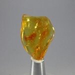 Amber Tumblestone ~34mm