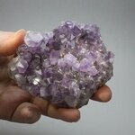 Amethyst Cluster ~87 x 76mm