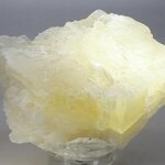 Angel Wing Calcite Healing Crystal ~73mm