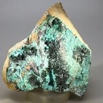 RARE Atacamite Mineral Specimen ~70mm