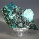 Atacamite Mineral Specimen ~70mm