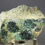 ATTRACTIVE Atacamite Mineral Specimen ~75mm