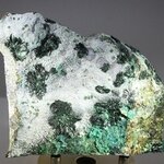 ATTRACTIVE Atacamite with rare Halloysite & Libethenite Mineral Specimen ~98mm