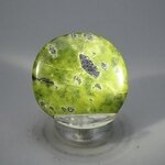 Atlantisite Flat Tumblestone ~39mm