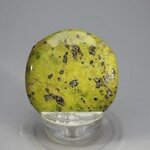 Atlantisite Flat Tumblestone ~39mm