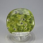 Atlantisite Flat Tumblestone ~41mm