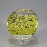 Atlantisite Flat Tumblestone ~43mm