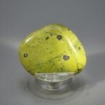 Atlantisite Flat Tumblestone ~43mm