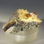 Baryte Mineral Specimen (U.S.A.) ~43mm