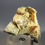 Baryte Mineral Specimen (U.S.A.) ~55mm