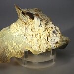 Baryte Mineral Specimen (U.S.A.) ~90mm