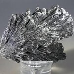 Black Kyanite Healing Crystal ~62mm