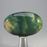 BloodStone Massage Stone ~47mm