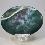 Bloodstone Palmstone (Extra Grade) ~70x50mm