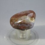 Bloodstone Tumblestone (Extra Grade) ~32mm