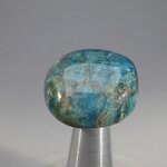 Blue Apatite Tumblestone  ~23mm