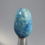 Blue Apatite Tumblestone  ~34mm