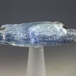 Blue Kyanite & Biotite Mica Healing Crystal ~46mm