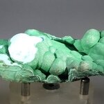Botryoidal Malachite & Chrysocolla Healing Mineral ~83mm