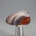 Botswana Agate Tumblestone ~31mm