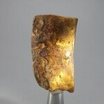 Boulder Opal   ~51mm