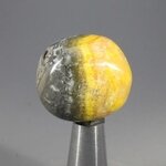 Bumble Bee Jasper Tumblestone ~27mm
