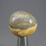 Bumble Bee Jasper Tumblestone ~27mm