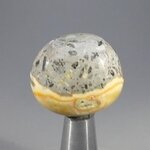 Bumble Bee Jasper Tumblestone ~28mm