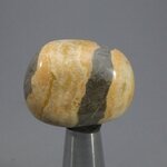 Bumble Bee Jasper Tumblestone ~29mm