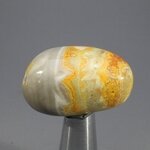 Bumble Bee Jasper Tumblestone ~33mm