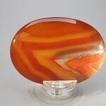 Carnelian Palmstone (Extra Grade) ~70x50mm