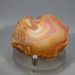 Carnelian Polished Slab ~50x40mm