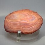 Carnelian Polished Slab ~55x38mm